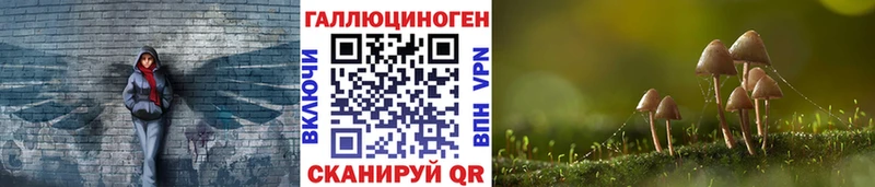 Галлюциногенные грибы Psilocybe  Купить где  Усмань 